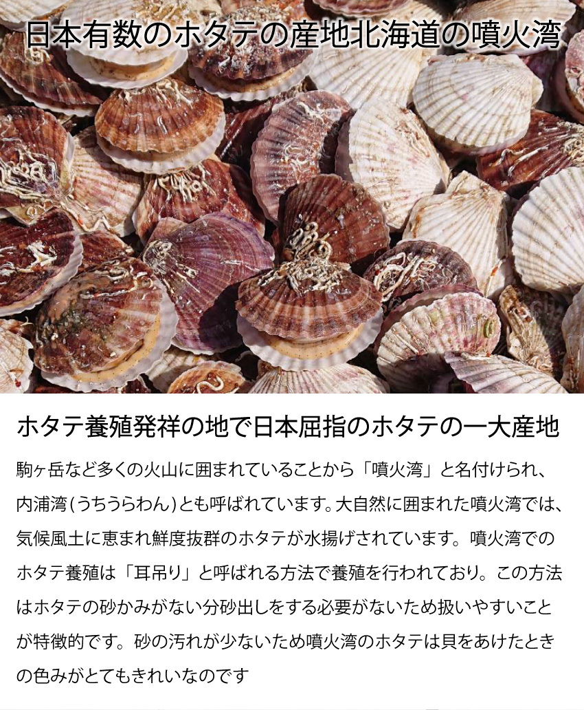 父の日 ホタテ 貝柱 北海道 1kg 刺身用 噴火湾 玉冷 帆立 ほたて 冷凍 森町 カネヨ木村水産 送料無料 87 H1 南北海道の産直店 道南地元市場 通販 Yahoo ショッピング