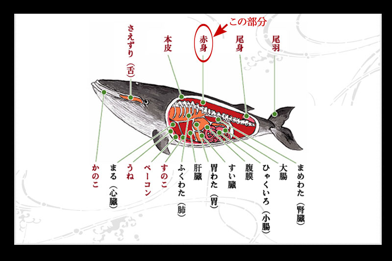 業務用 ニタリ鯨(くじら・クジラ）の刺身用赤肉ブロック1kg＞【冷凍限定/同梱可】