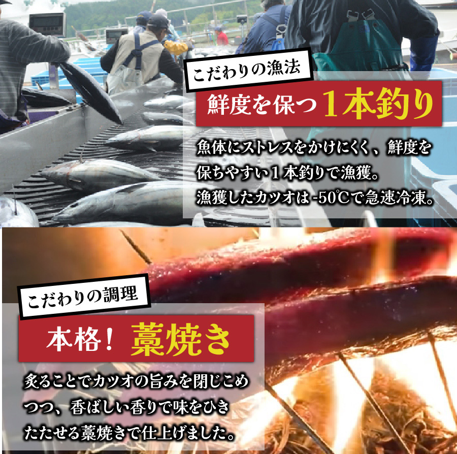 送料無料】大容量メガ盛り！鹿児島県枕崎産鰹（かつお・カツオ）の