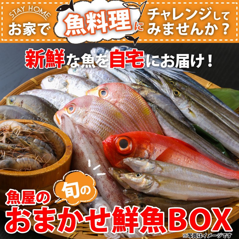 魚屋の森さん】☆送料無料 国産商品 おまかせ鮮魚BOX 5400円コース 