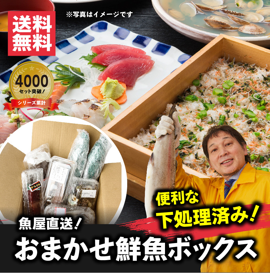 【魚屋の森さん】★送料無料 国産商品 おまかせ鮮魚BOX 鮮魚ボックス　5400円コース 最短着希望は配送指定日なしでご注文ください