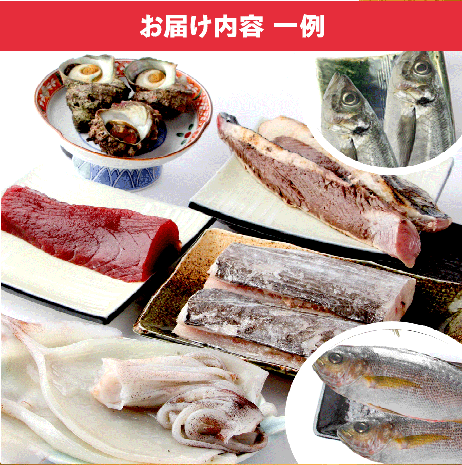 みーこさん専用 鮮魚box 魚屋の森さん】☆送料無料 国産商品 おまかせ鮮魚BOX 鮮魚