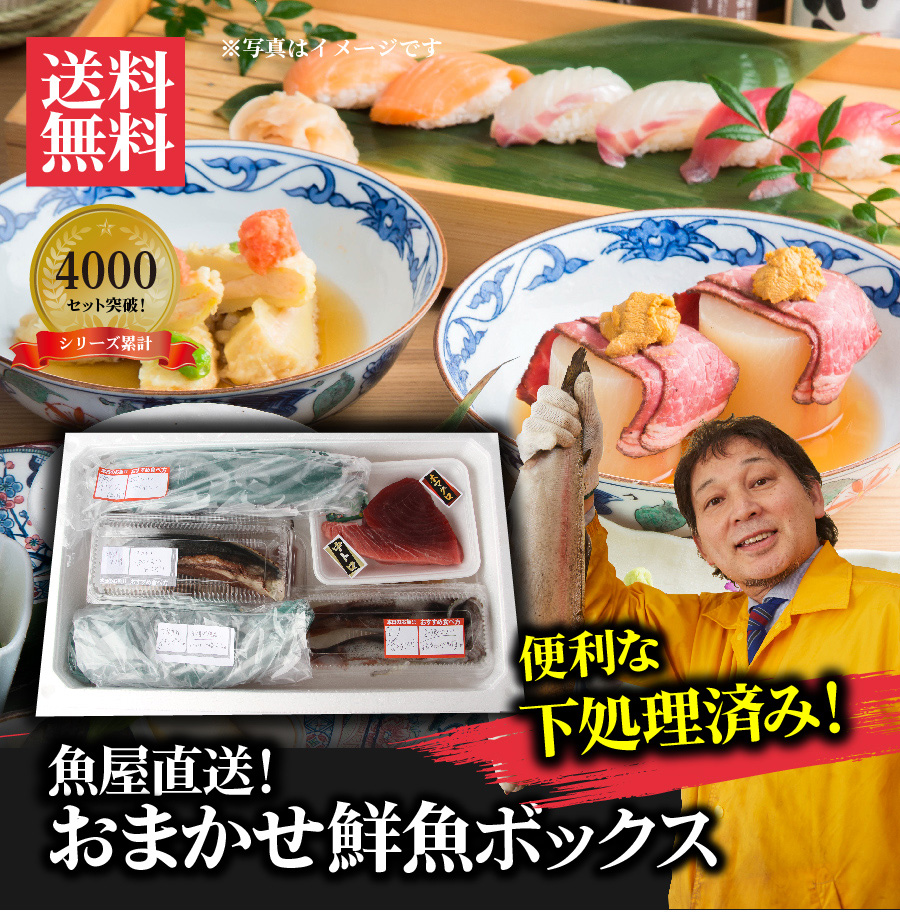 【魚屋の森さん】★送料無料 国産商品　おまかせ鮮魚BOX 10000円コース　最短着希望は配送指定日なしでご注文ください