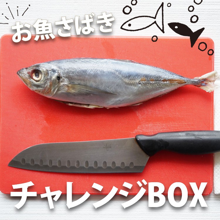 送料無料 お魚さばきチャレンジbox