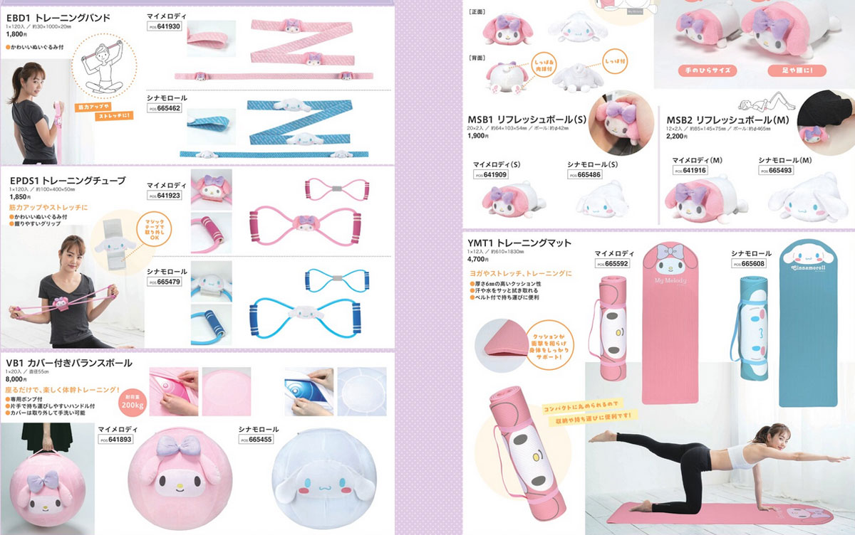 スケーター バランス ボール 55cm カバー 付き 体幹 ストレッチ