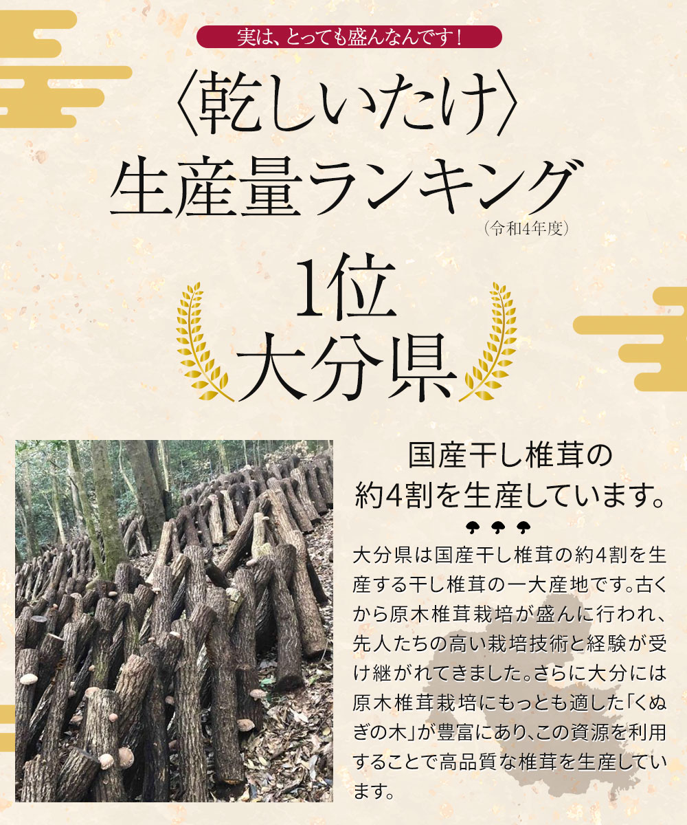 大分県産 原木 干し椎茸 小粒どんこ 500g(50g×10袋入) 国産 しいたけ