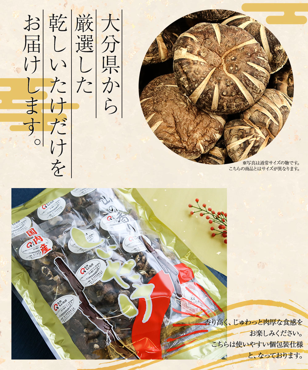 大分県産 原木 干し椎茸 小粒どんこ 500g(50g×10袋入) 国産 しいたけ