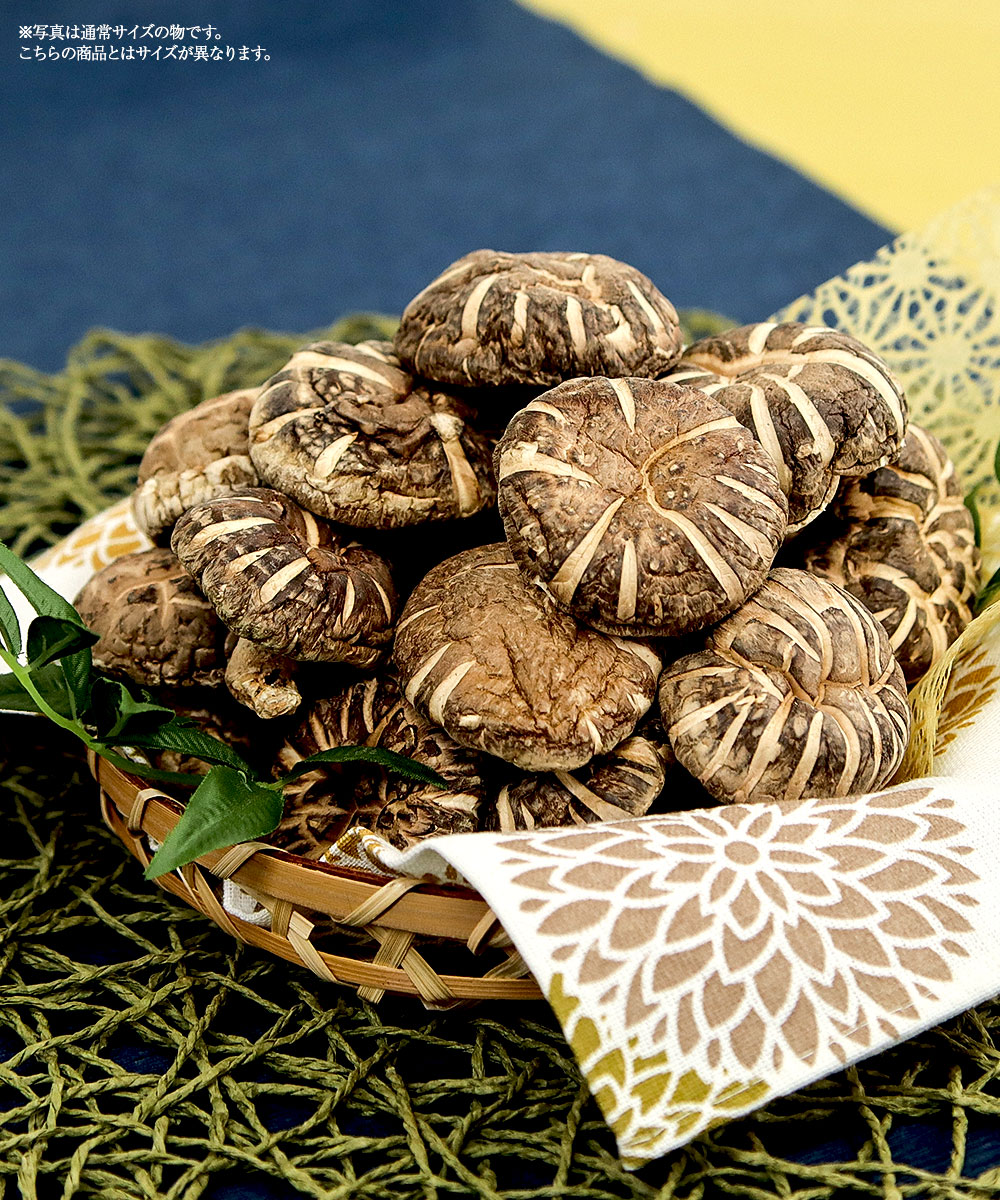 大分県産 原木 干し椎茸 小粒どんこ 500g(50g×10袋入) 国産 しいたけ