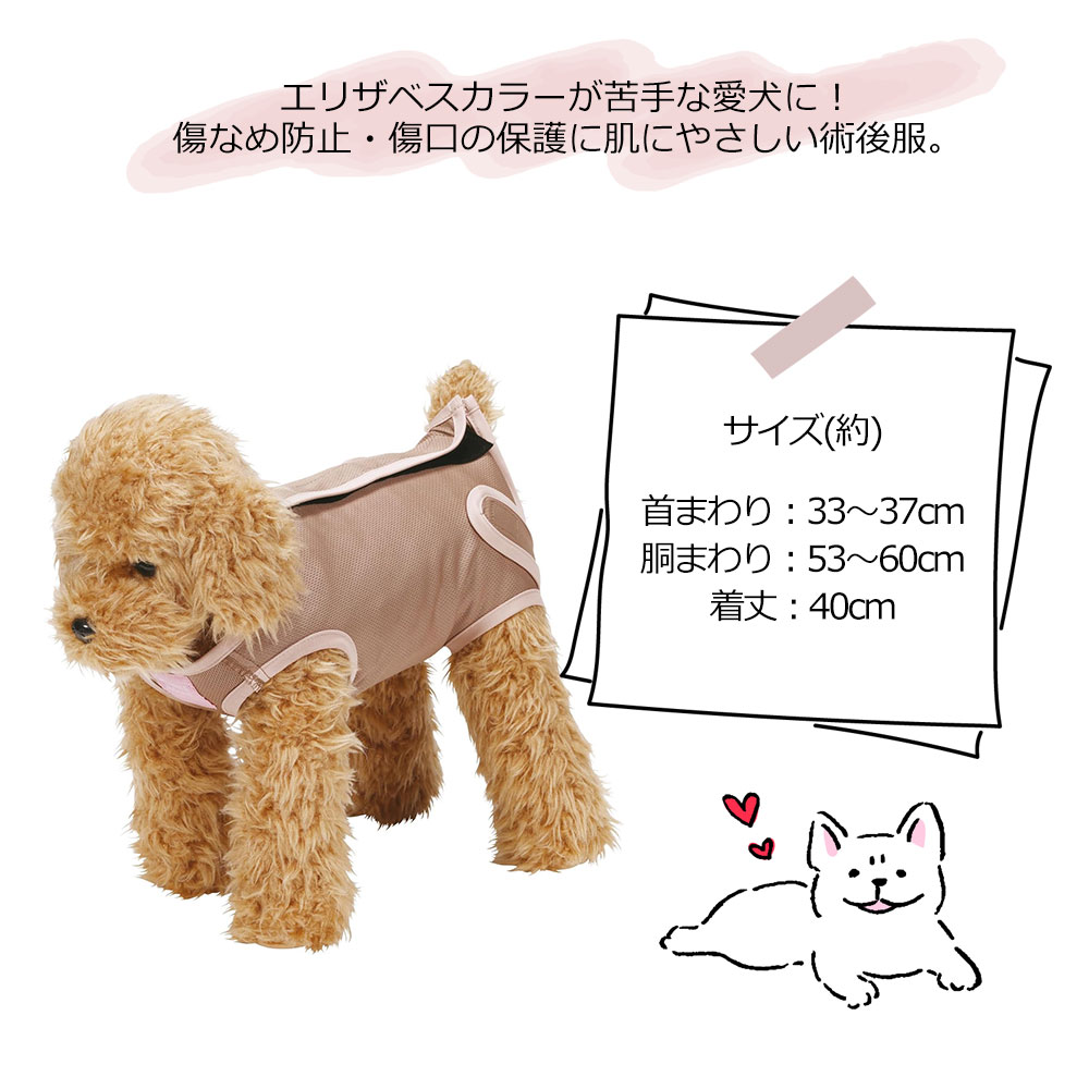 ペット用 術後服 女の子 6号 小型犬 ブラウン メス 雌 抗菌 消臭 手術