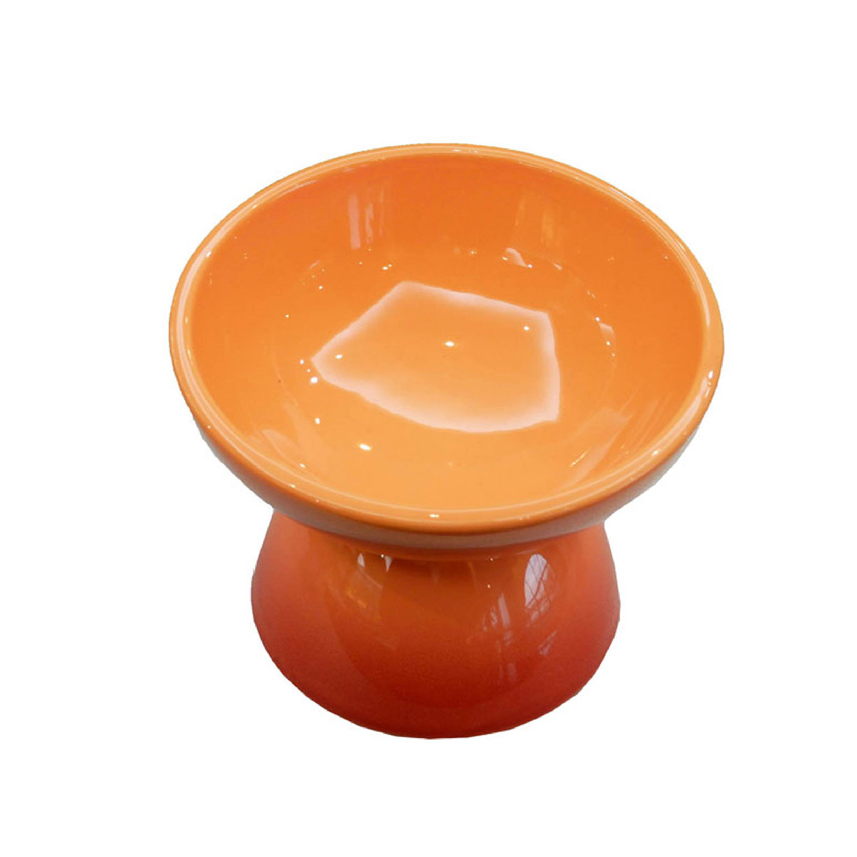 スケーター フードボウル 犬 高さがある 斜め 陶器 小型犬用 ペット