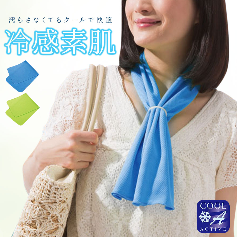 ニーズ Eco&Cool アイスパッドプレミアム クールタオル リング付