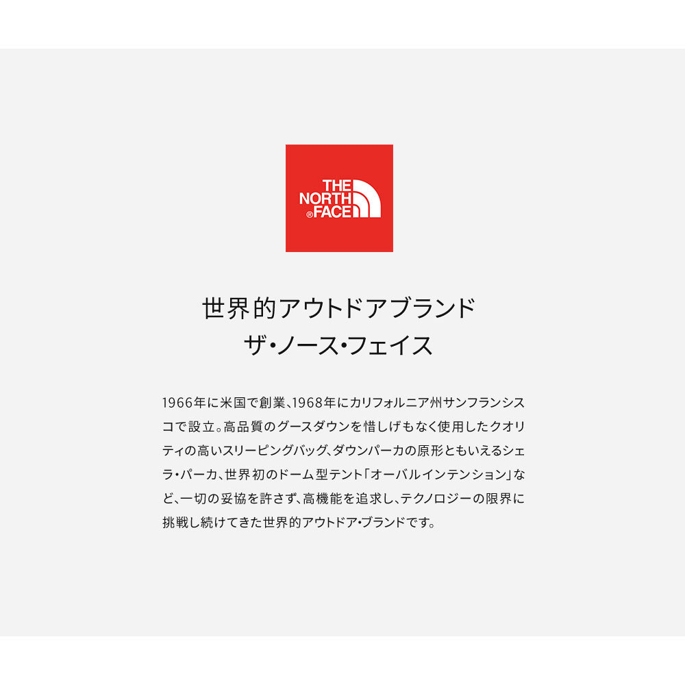 ノースフェイス リュックサック THE NORTH FACE 30L デイパック バック 