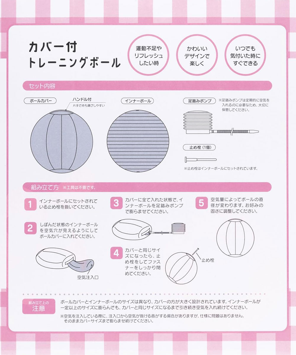 スケーター バランス ボール 55cm カバー 付き 体幹 ストレッチ