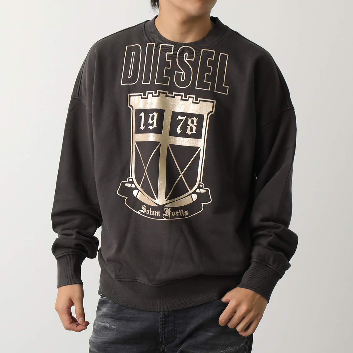 DIESEL ディーゼル トレーナー S-ROB-L2 A11442 0AMDN メンズ