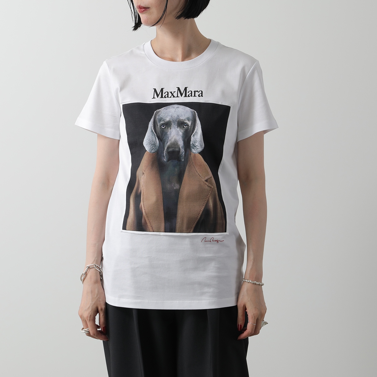 MAX MARA マックスマーラ 半袖 Tシャツ CIPRIA レディース ウィリアム・ウェグマン カットソー コットン ドッグプリント 犬 ロゴ  クルーネック カラー5色