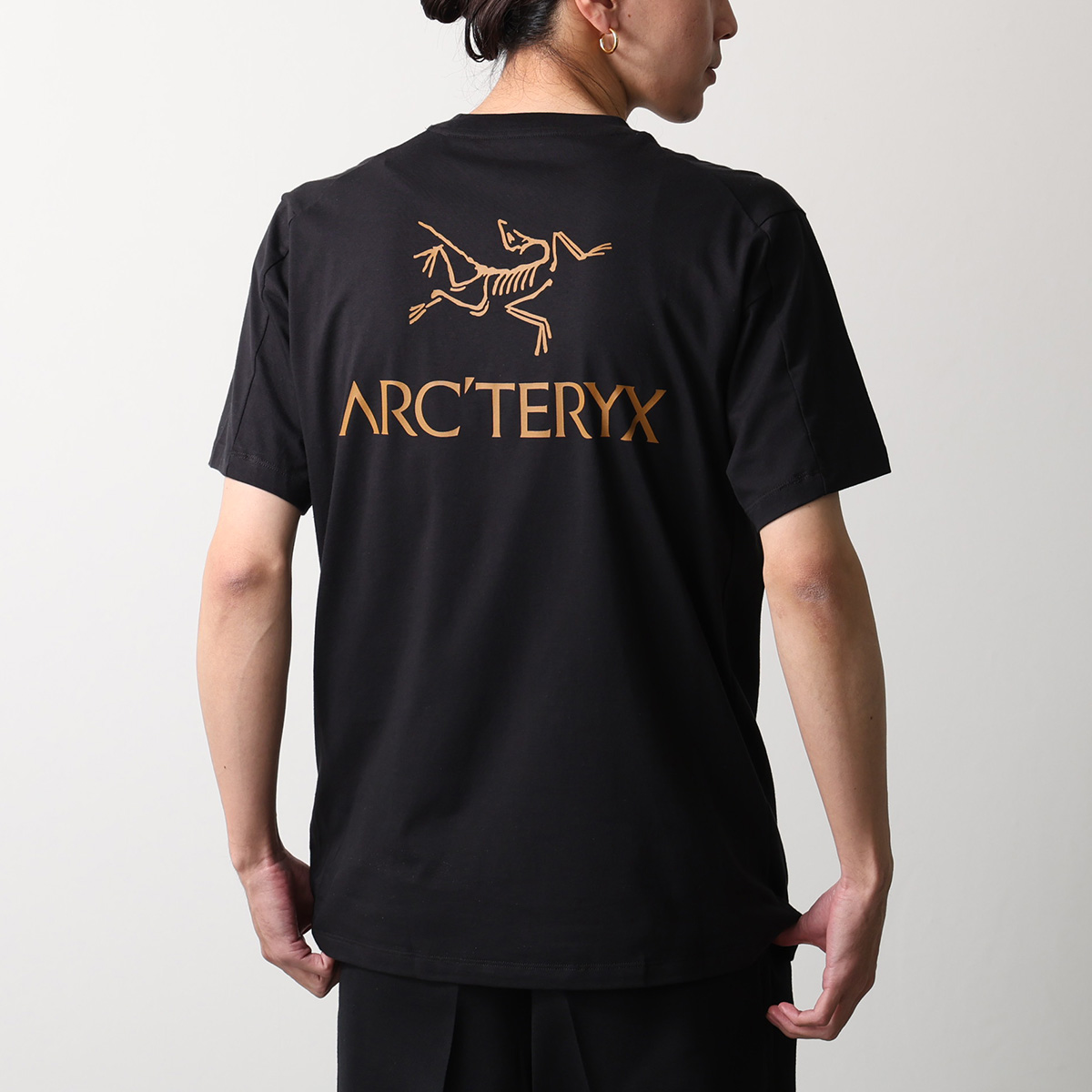 90s ARC'TERYX アークテリクス Tシャツ フェード ARC'TERYX（アークテリクス） Tシャツ Kragg SL Cotton Bird Word SS M