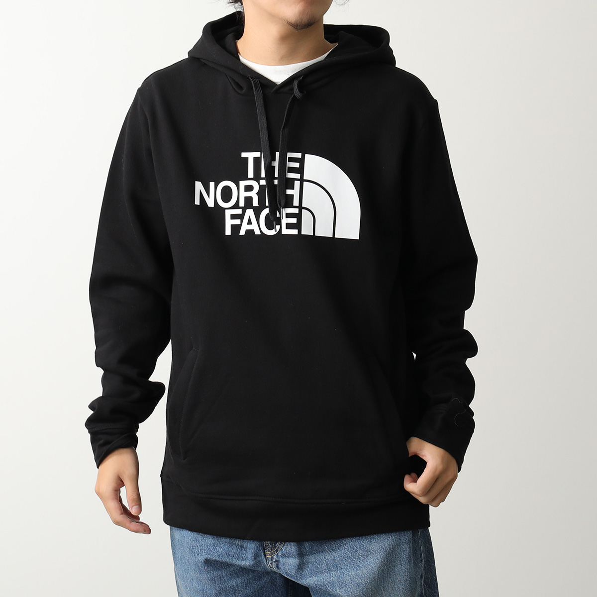 THE NORTH FACE（ザ ノースフェイス） パーカー NF0A4M8L メンズ プル 