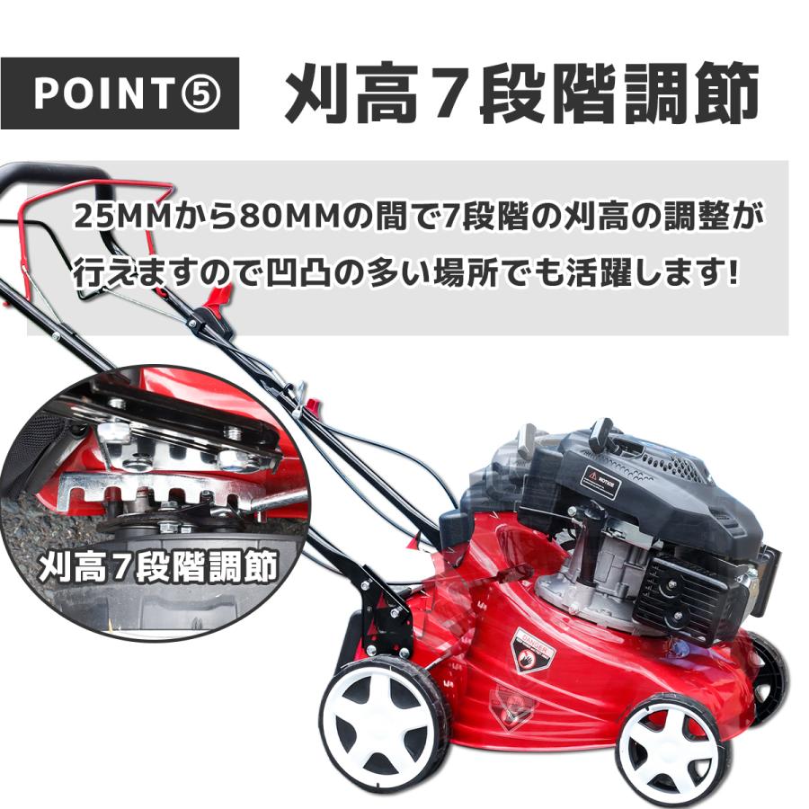 芝刈り機 自走式 芝刈機 刈幅410mm 41cm 大容量55L 5馬力 集草バッグ
