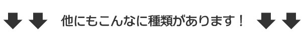 他にもこんなに種類があります！