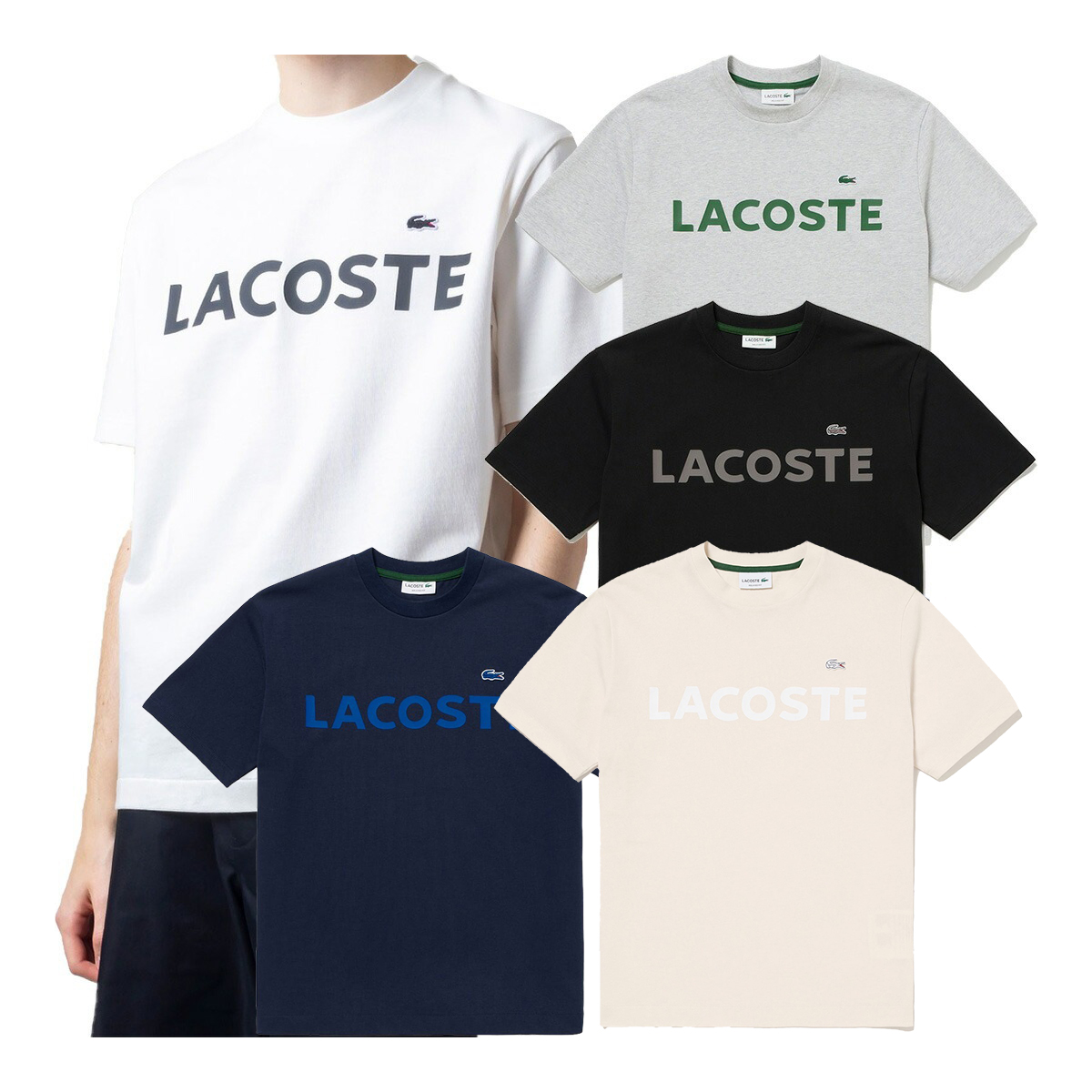 ラコステ LACOSTE 半袖 Tシャツ ヘビーウェイトブランドネームロゴTシャツ TH2299-99 トップス タウンユース カジュアル LACOSTE（ラコステ） 半袖 Tシャツ ヘビーウェイトブランドネームロゴT
