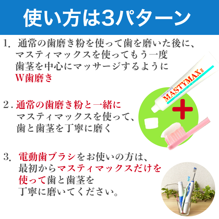 マスティック マスティマックス2 45g ポリリン酸ナトリウム 歯みがき