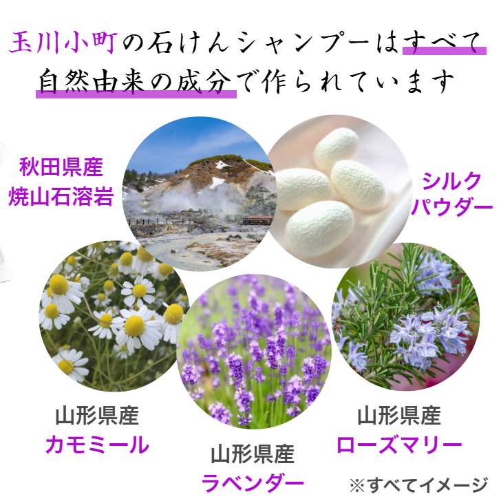 3本セット 玉川小町 石けんシャンプー 無添加 せっけんシャンプー 液体