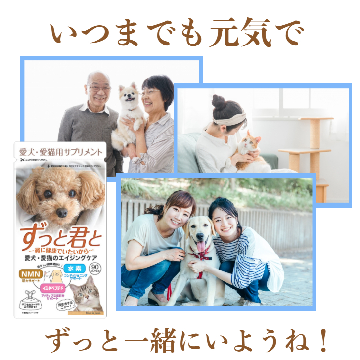 ペット 水素 NMN サプリメント 水素サプリ 水素パウダー ずっと君と 犬