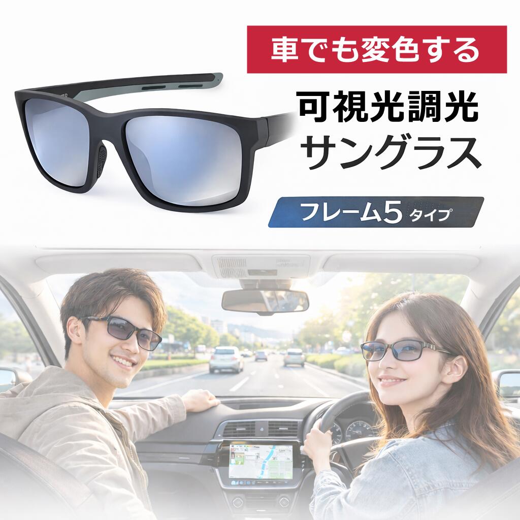 可視光調光サングラス 2102 1049 2590 4108-VPH 調光 可視光調光 運転