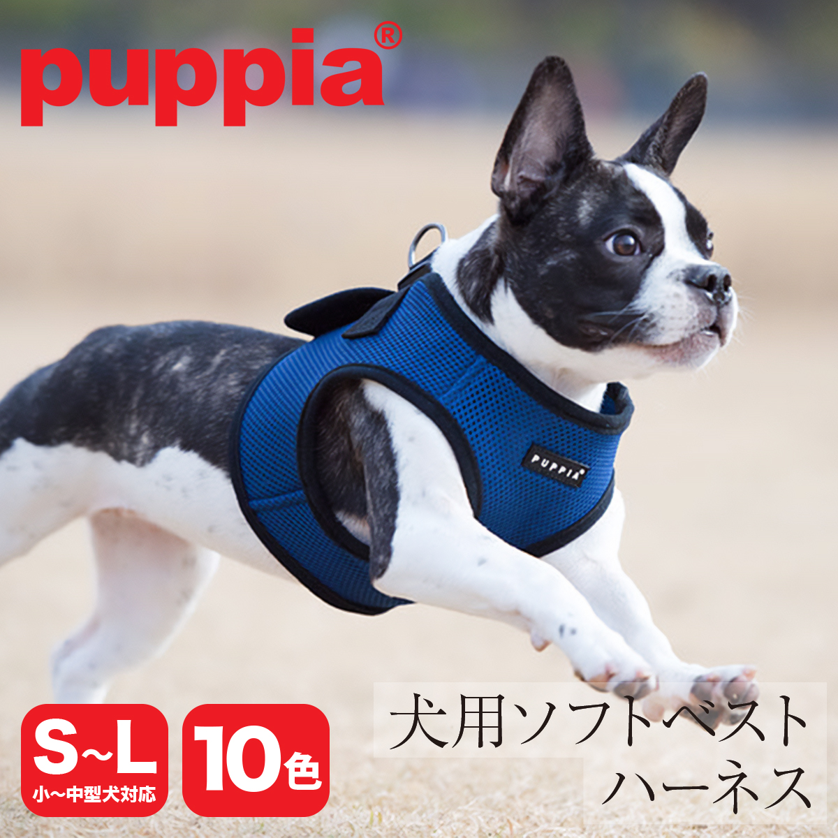 パピア ハーネス ベスト型 犬用 ソフトハーネス ベストハーネス PUPPIA ソフトベストハーネス 小型犬 中型犬 ペット 犬 メッシュ 胴輪  犬用品 21539-27002