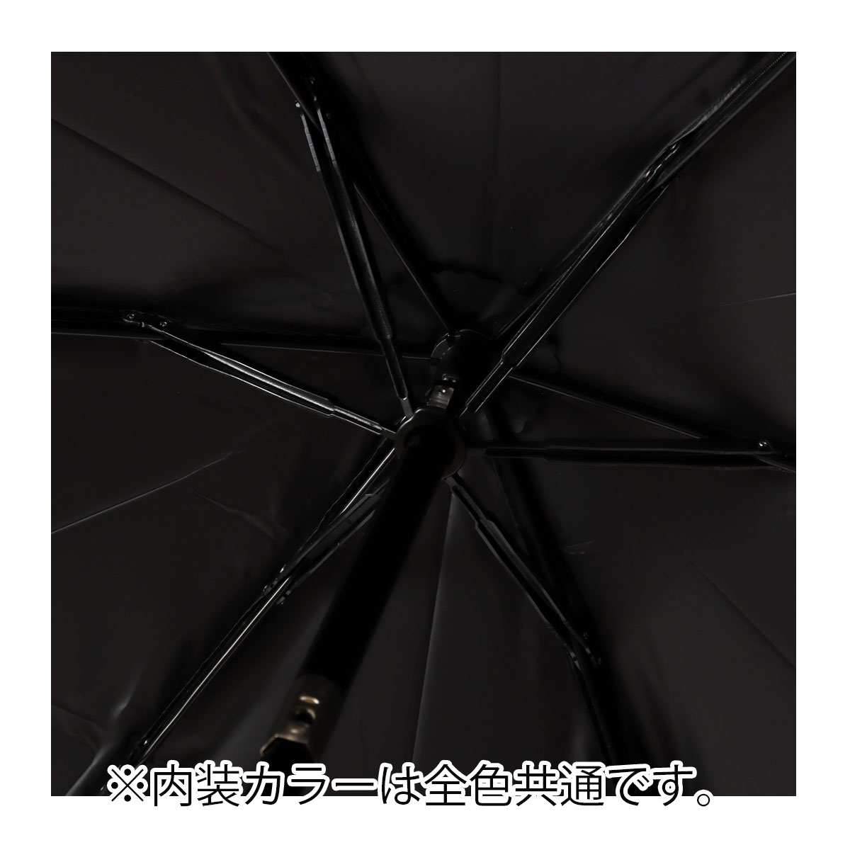 詳細