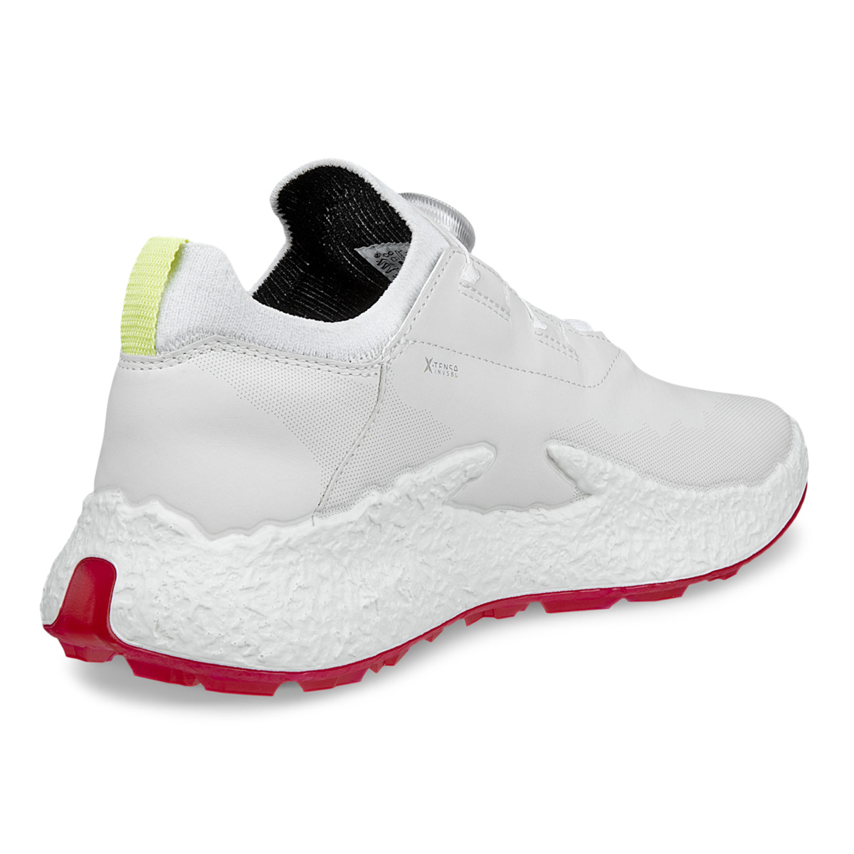 ecco（エコー） ゴルフ シューズ バイオム エイチ ファイブ ボア