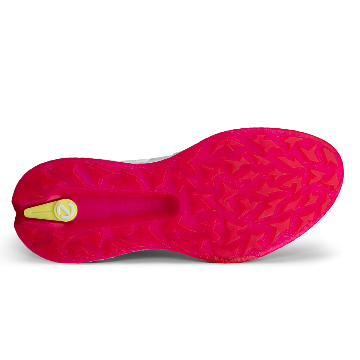 お値下げしました。 ECCO バイオムＧ5 ボア　レディースゴルフシューズ ecco（エコー） ゴルフ シューズ バイオム エイチ ファイブ ボア