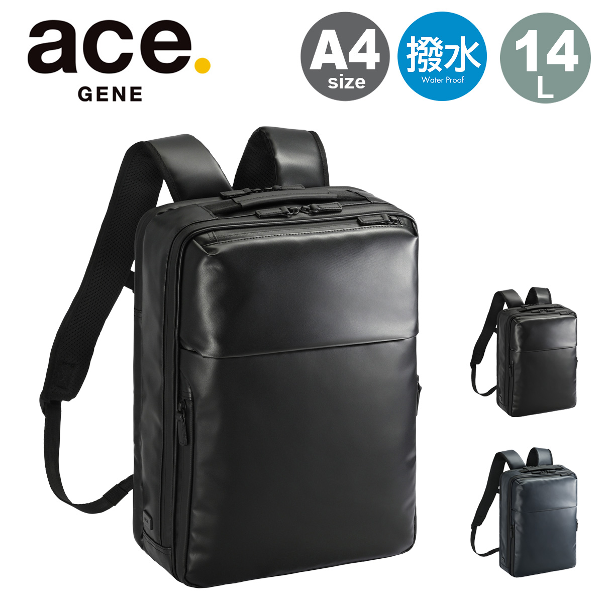 ace. GENE LABEL エースジーン リュック A4 リュックサック バック