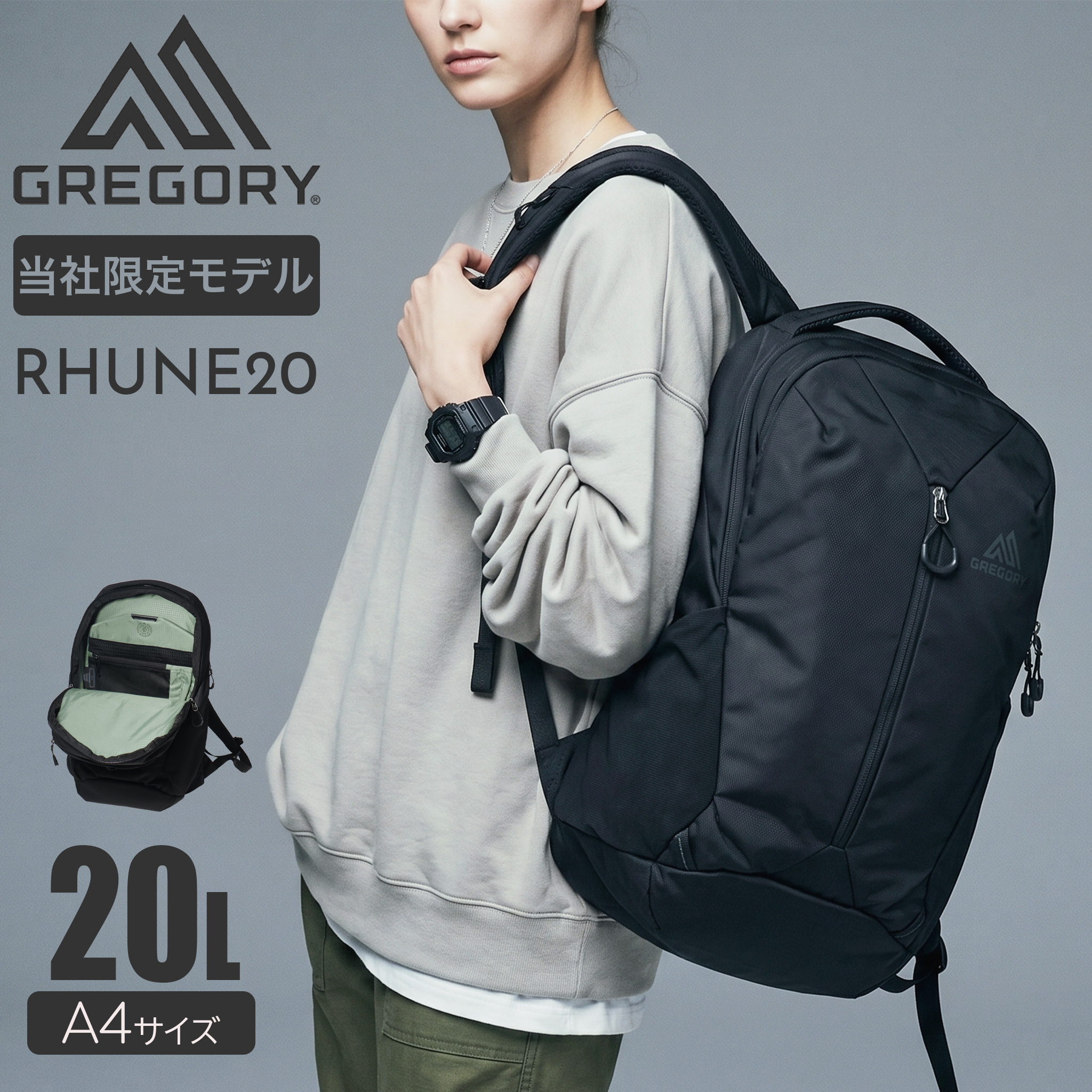 GREGORY（グレゴリー） 別注 リュック ルーヌ20 当社限定 A4 20L 15