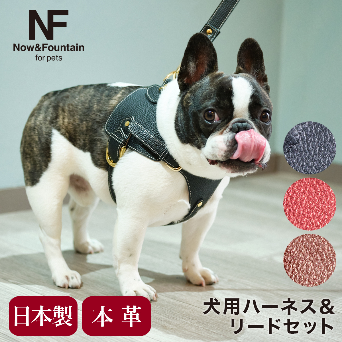 エヌアンドエフ ペット ハーネス＆リードセット 小型犬 ハーネス