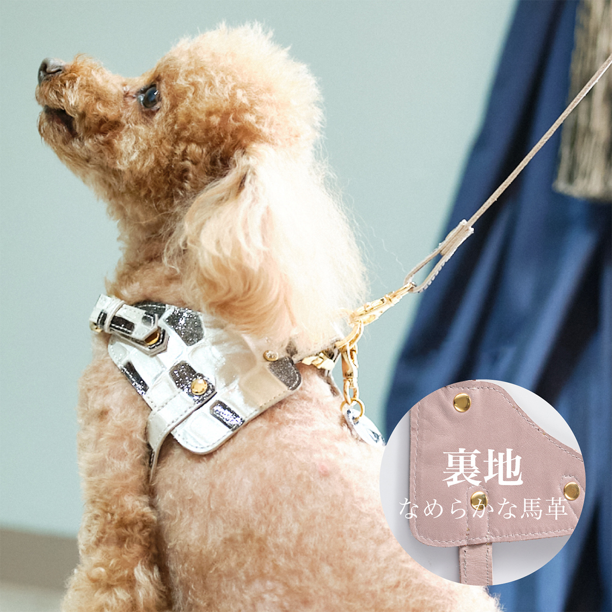 エヌアンドエフ ペット ハーネス＆リードセット 小型犬 ハーネス