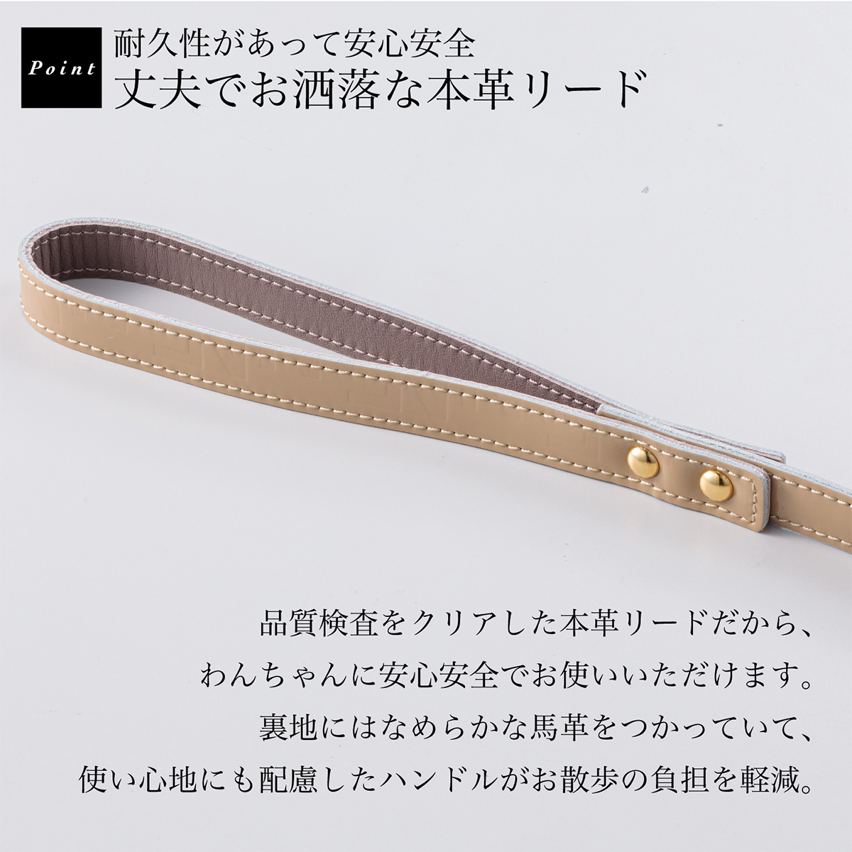 エヌアンドエフ ペット ハーネス＆リードセット 小型犬 ハーネス