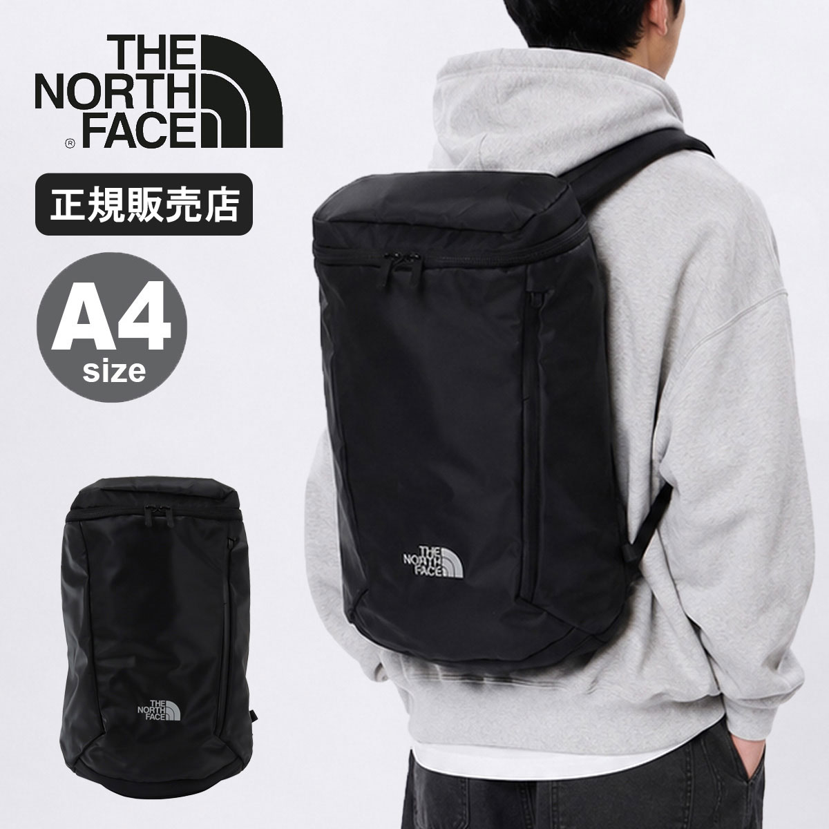 ノースフェイス リュック メンズ レディース 大容量 通学 THE NORTH