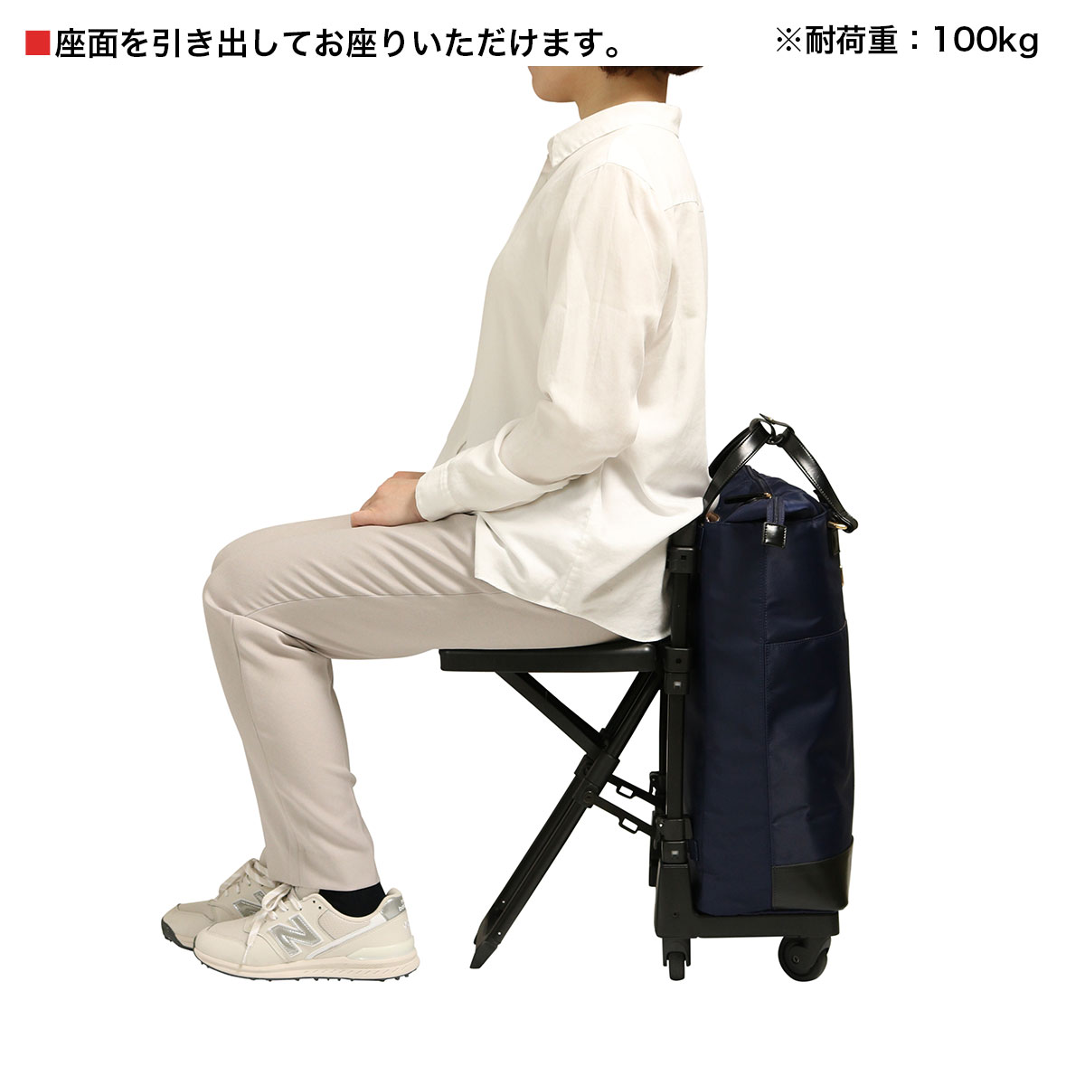 SWANY（キャリーバック） スワニー ショッピングカート