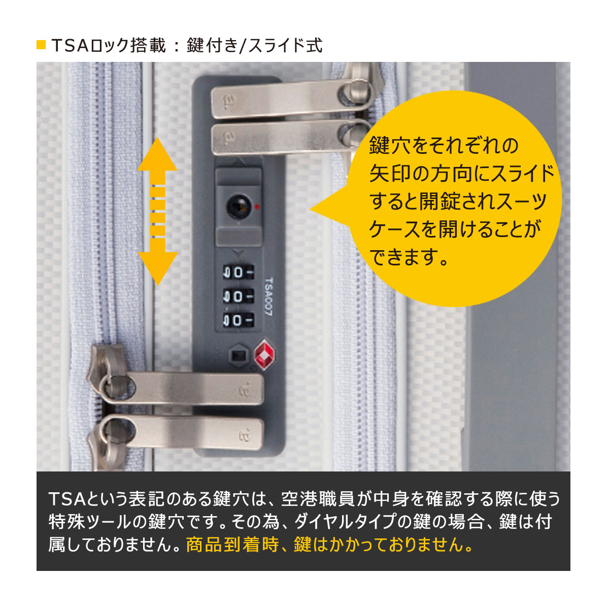 ace. TOKYO LABEL エース トーキョー レーベル パリセイド3 Z