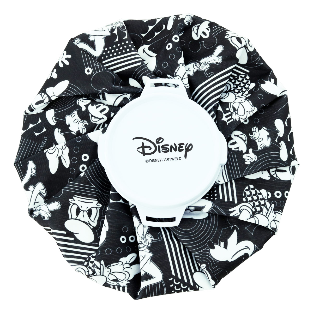 ディズニー ゴルフ 氷のう 氷嚢 XYMG4SE1 Disney GOLF