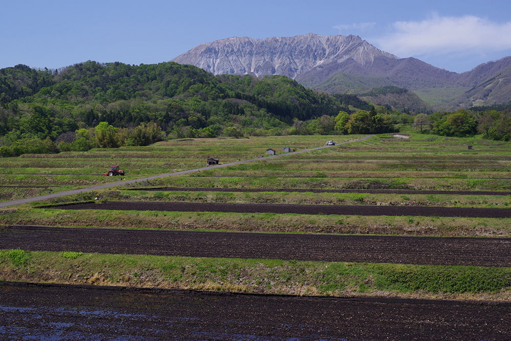 【訳アリ】PENTAX DA FISH-EYE 10-17mm F3.5-4.5 ペンタックス ペンタックス(PENTAX) HD PENTAX-FA 50mm F1.4 : サエダ