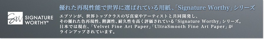 エプソン(EPSON) ファインアート紙 Velvet Fine Art Paper A4 10枚