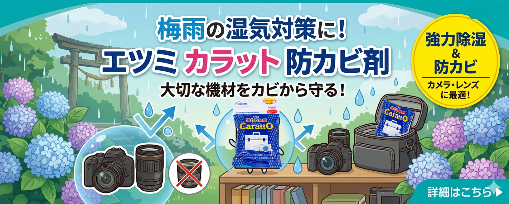 サエダオンラインショップ - Yahoo!ショッピング