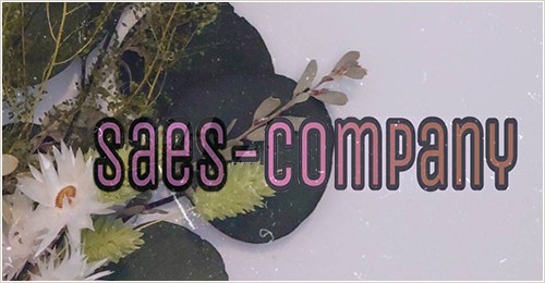 saes-company - Yahoo!ショッピング