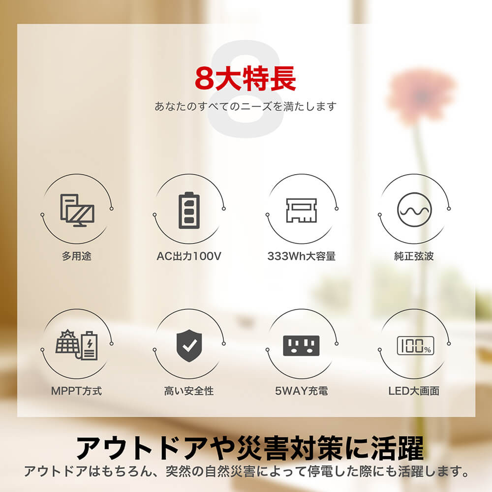 RABLISS ポータブル電源 大容量 90000mAh 333Wh 蓄電器 家庭用