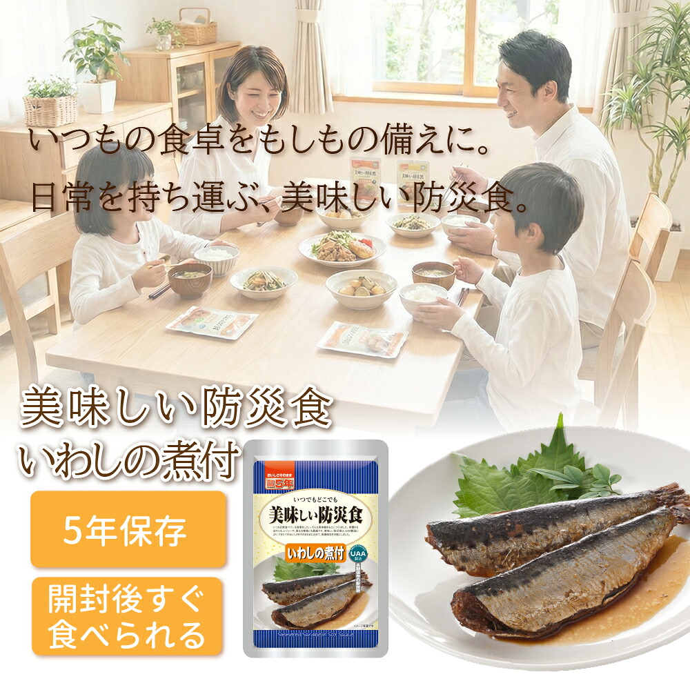 アルファフーズ（Alpha Foods） 美味しい防災食 ハンバーグ煮込 5年
