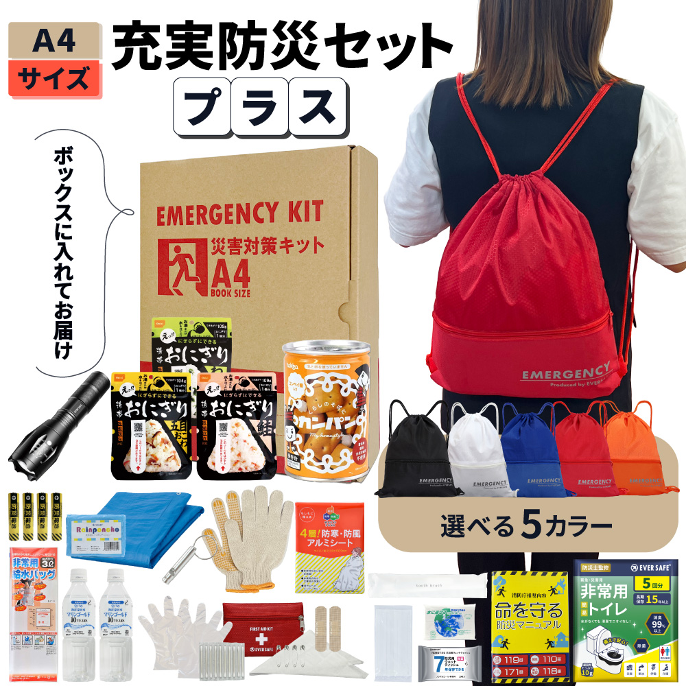 EVERSAFE 非常用持ち出し袋 充実A4防災セット プラス 1人用 防災