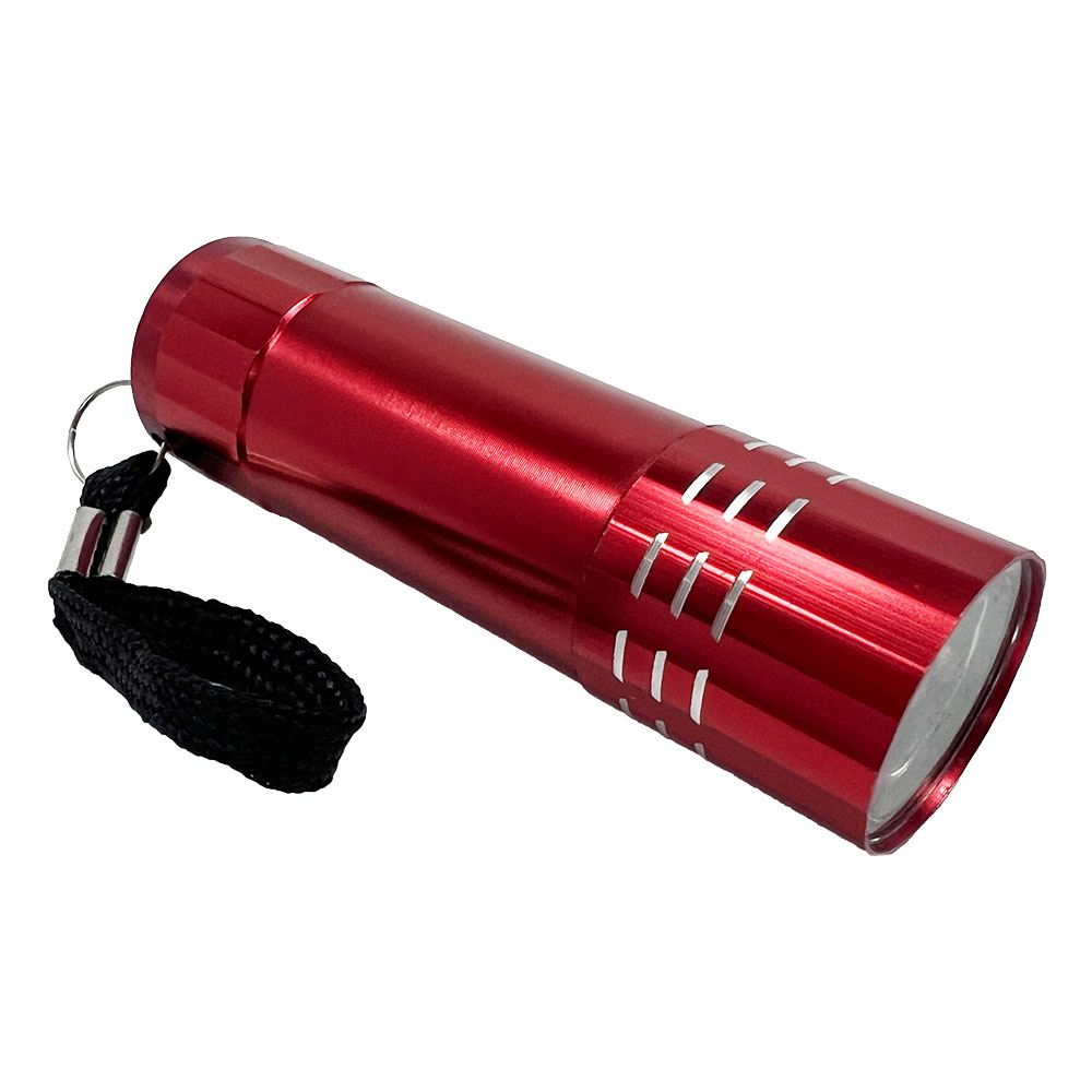 懐中電灯 ミニフラッシュライト FL02 LED 小型 防災 持ち歩き 軽量