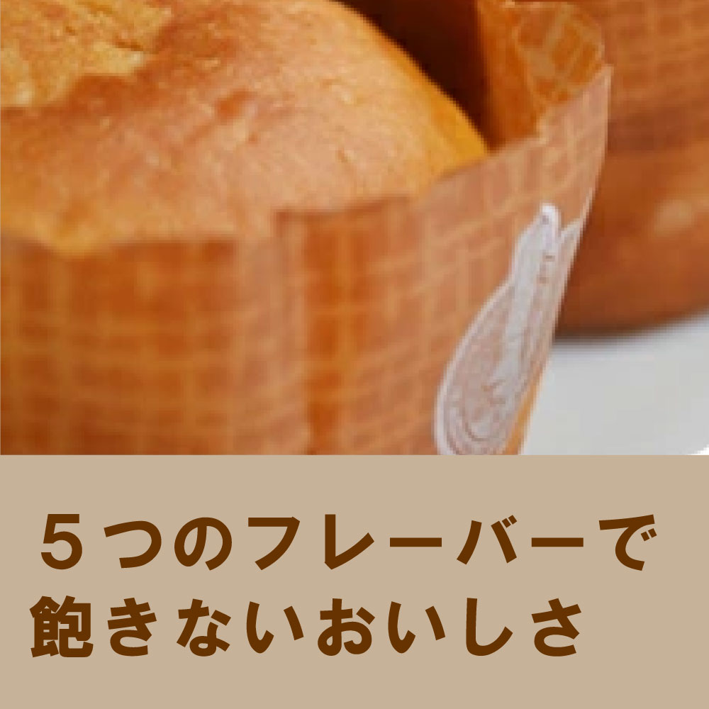 5年保存 生命のパン 全5種類10缶コンプリートセット